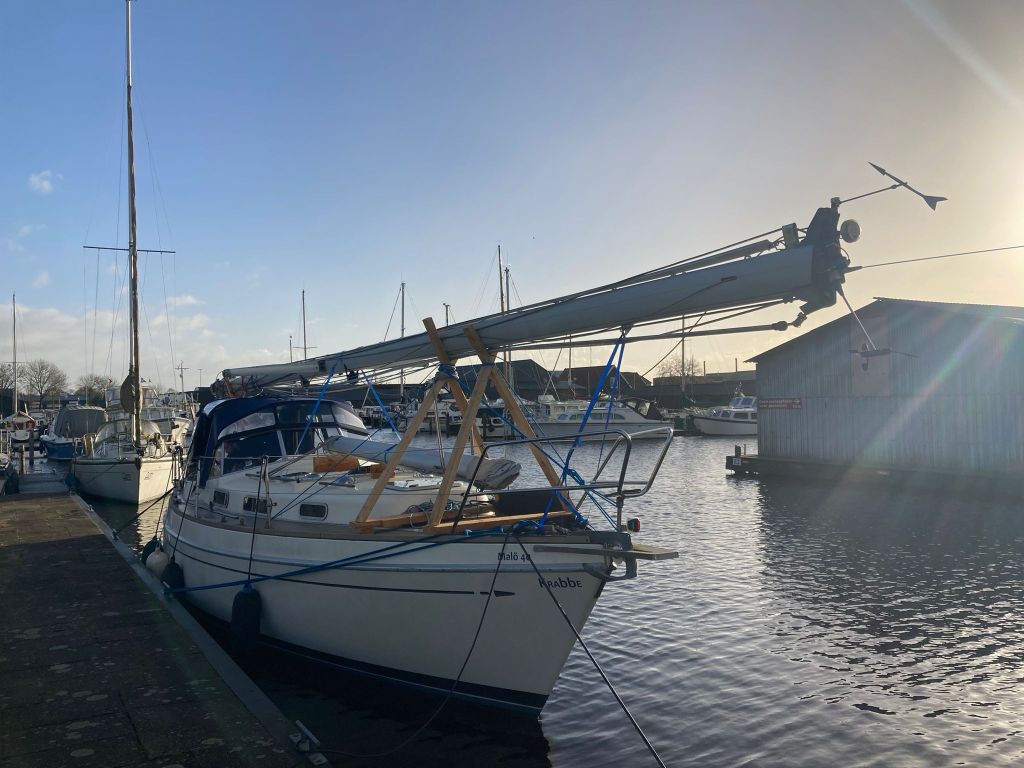 El Krabbe dearbolado en Groninngen