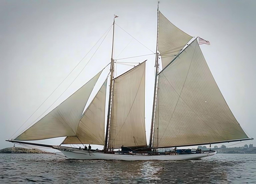 La «América» fue diseñada por James Rich Steers y George Steers (1820-1856). El diseño tradicional de "cabeza de bacalao y cola de caballa" otorgaba a las embarcaciones una proa roma y una popa afilada, con el punto más ancho (la manga) situado a un tercio de la eslora a popa de la proa.